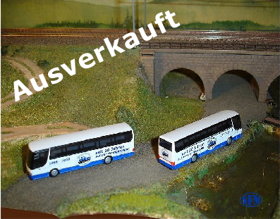 Sondermodell 2008  Setra S315 HDH / Rietze